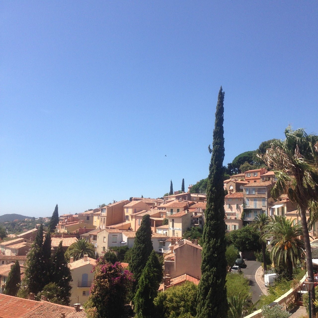 Bormes les Mimosas